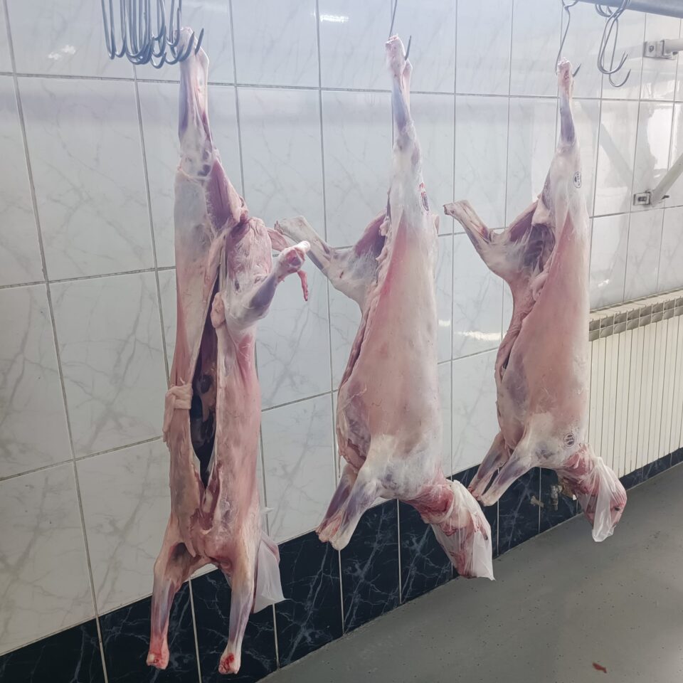 Au apărut la vânzare mieii în piețele din Suceava