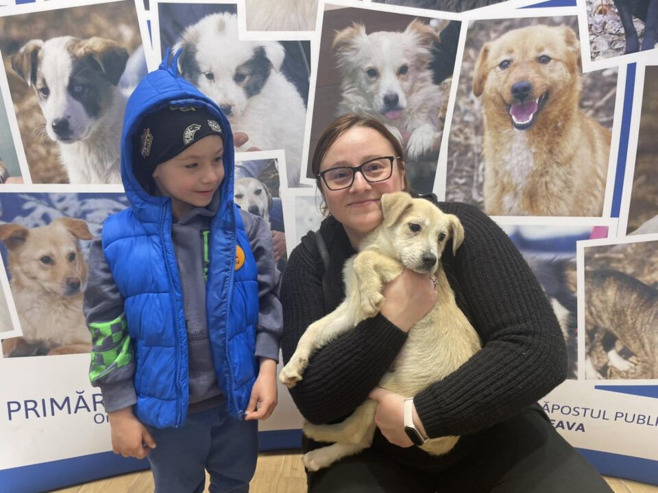 Jumătate dintre cățelușii prezentați la Târgul de adopții din weekend și-au găsit familii