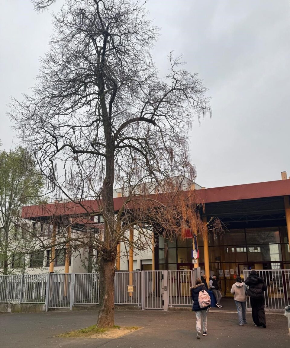 Experiență europeană de învățare la Colegiul Național „Mihai Eminescu”: profesorii descoperă noi perspective educaționale prin job-shadowing