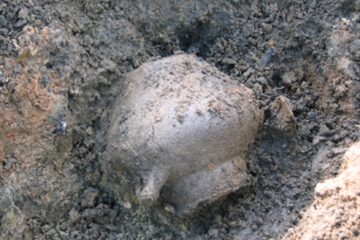 „Descoperiri arheologice”