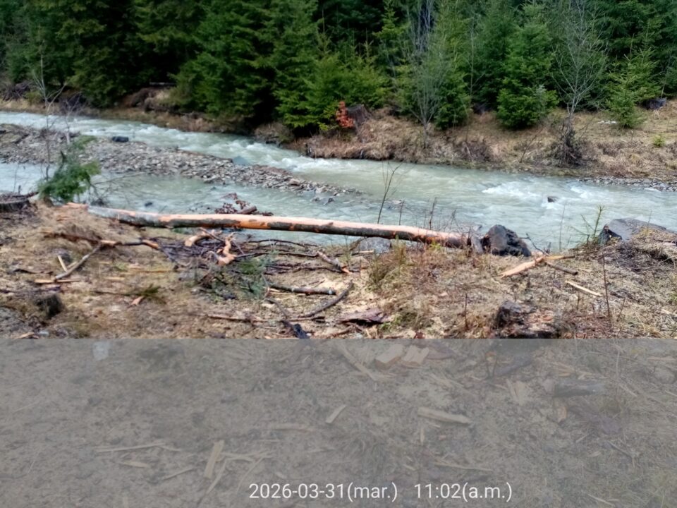 Trei firme, amendate de Garda de Mediu pentru depozitări de material lemnos pe marginea apelor