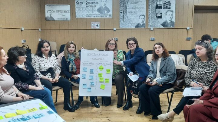 Educația incluzivă, între provocare și necesitate: pilotarea cursului Erasmus+ IDEATE pentru cadrele didactice