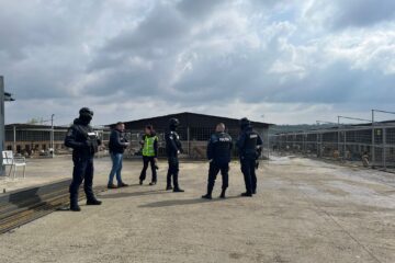 Percheziții la locuința primăriței din Berchișești și la adăpostul de câini gestionat de fiul acesteia