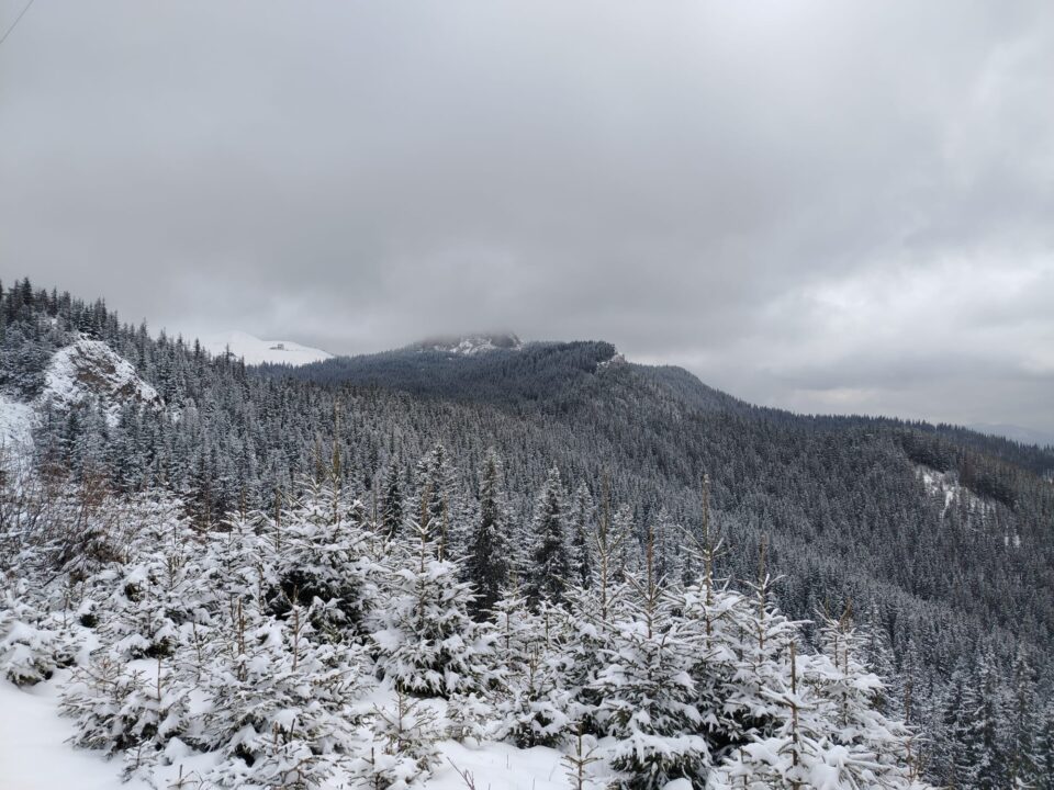 Trasee montane din Călimani și Rarău nerecomandate de Salvamont, din cauza zăpezii