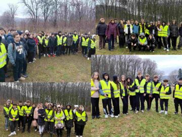 „100 de copii pentru 100 de stejari”. Elevi ai Școlii Nr. 4, într-o acțiune de plantare la Dărmănești