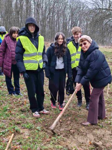 „100 de copii pentru 100 de stejari”. Elevi ai Școlii Nr. 4, într-o acțiune de plantare la Dărmănești