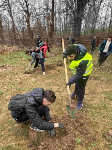 „100 de copii pentru 100 de stejari”. Elevi ai Școlii Nr. 4, într-o acțiune de plantare la Dărmănești