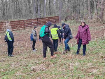 „100 de copii pentru 100 de stejari”. Elevi ai Școlii Nr. 4, într-o acțiune de plantare la Dărmănești