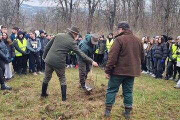 „100 de copii pentru 100 de stejari”. Elevi ai Școlii Nr. 4, într-o acțiune de plantare la Dărmănești