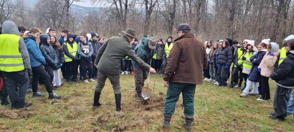 „100 de copii pentru 100 de stejari”. Elevi ai Școlii Nr. 4, într-o acțiune de plantare la Dărmănești