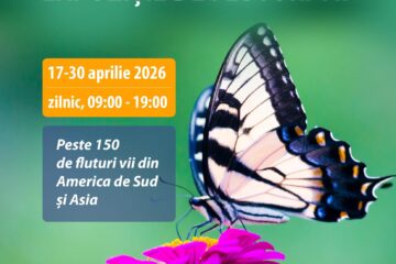 Unde fugim de-acasă… în perioada 16 – 22 aprilie