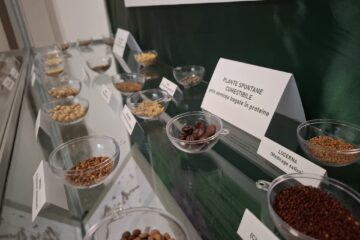 „Tămăduitoare vegetale” – o incursiune fascinantă în lumea plantelor medicinale și comestibile ale Bucovinei, la Muzeul de Științele Naturii