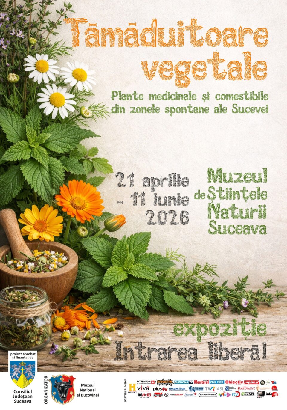 „Tămăduitoare vegetale” – o incursiune fascinantă în lumea plantelor medicinale și comestibile ale Bucovinei, la Muzeul de Științele Naturii