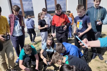 „Pădurea Copiilor” – 1.000 de copii și 1.000 de puieți plantați în curțile a 9 școli „Pădurea Copiilor” – 1.000 de copii și 1.000 de puieți plantați în curțile a 9 școli