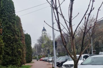 Peste 260 de arbori și arbuști ornamentali au fost plantați de Primăria Suceava, în această primăvară