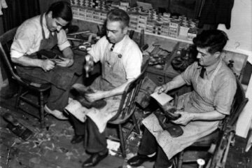 „Cooperativa din Rădăuţi”