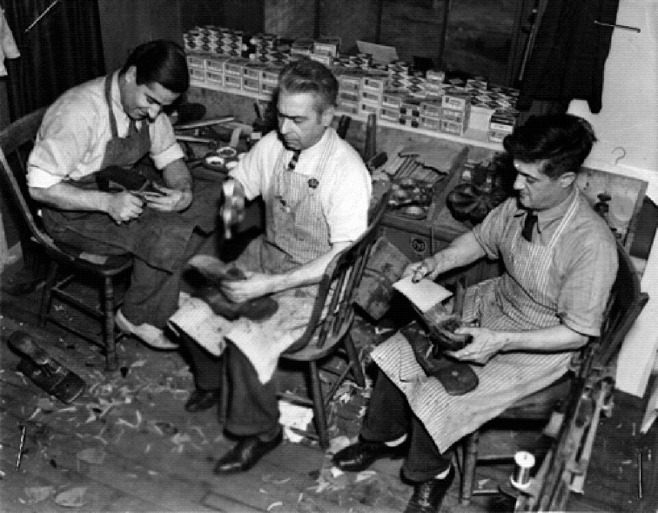 „Cooperativa din Rădăuţi”