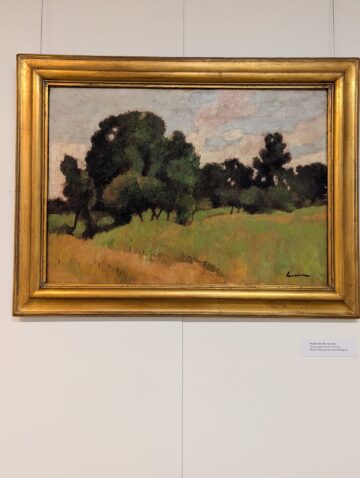 Emil Ursu: „Expoziția Ștefan Luchian de la Suceava reprezintă un moment istoric, este singura din România organizată în acest an”