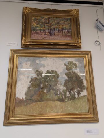 Emil Ursu: „Expoziția Ștefan Luchian de la Suceava reprezintă un moment istoric, este singura din România organizată în acest an”