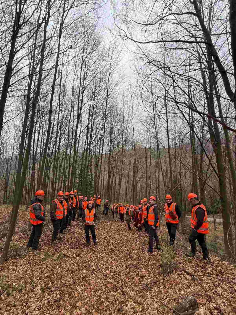 Silvicultura românească intră în era preciziei digitale, inclusiv cu scanări 3D