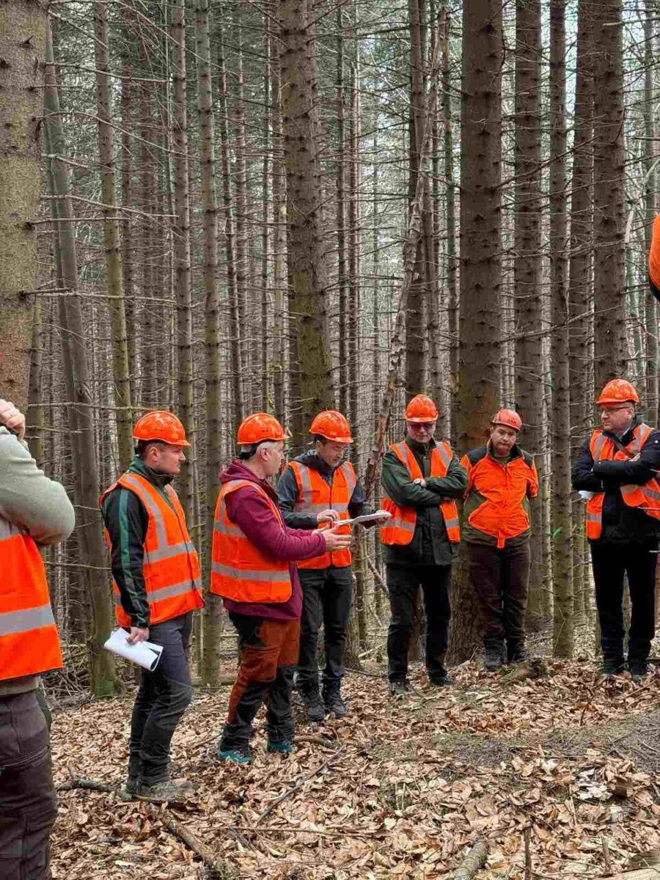 Silvicultura românească intră în era preciziei digitale, inclusiv cu scanări 3D