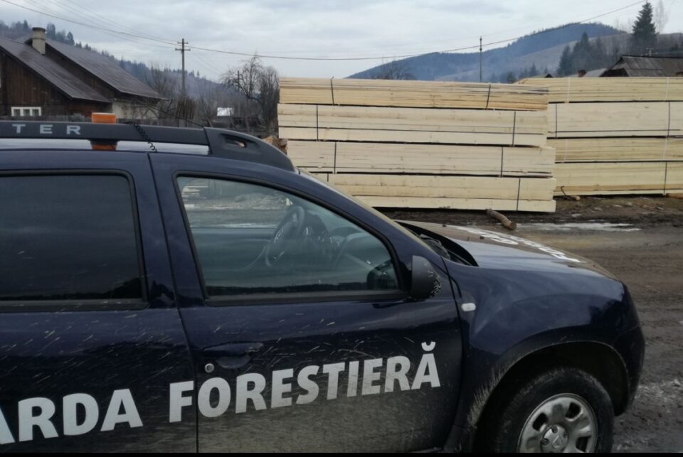 În luna martie 2026 au fost verificate și 23 de puncte de prelucrare și depozitare a lemnului