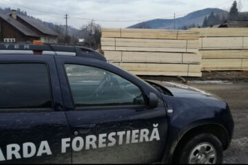 În luna martie 2026 au fost verificate și 23 de puncte de prelucrare și depozitare a lemnului