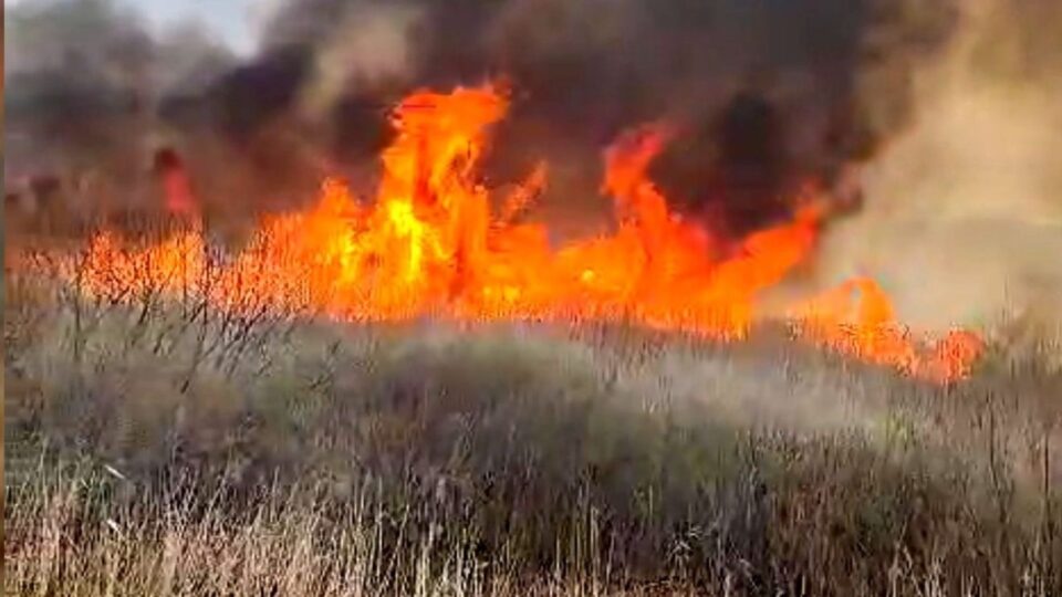 Un individ care a incendiat mai multe anexe de la Cantonul Silvic Varvata, arestat pentru că a refuzat să se prezinte la instanță