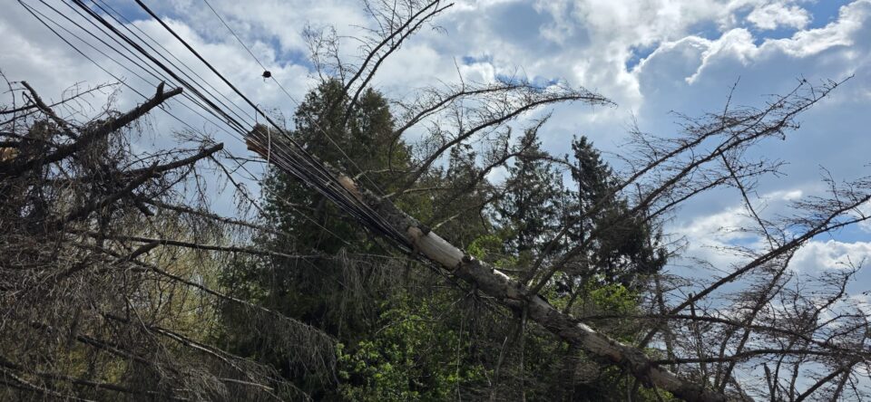 Zeci de intervenții ale pompierilor pentru a îndepărta problemele generate de vântul puternic