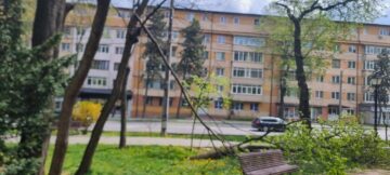 Primăria Suceava a decis restricționarea temporară a accesului în parcurile Universității și Central din cauza vântului puternic