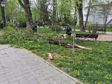 Primăria Suceava a decis restricționarea temporară a accesului în parcurile Universității și Central din cauza vântului puternic