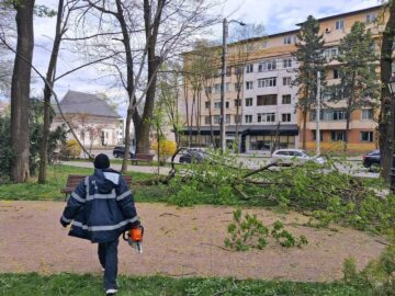 Primăria Suceava a decis restricționarea temporară a accesului în parcurile Universității și Central din cauza vântului puternic