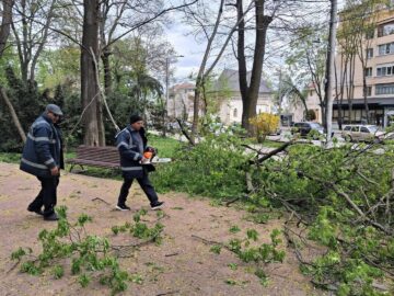 Primăria Suceava a decis restricționarea temporară a accesului în parcurile Universității și Central din cauza vântului puternic