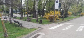 Primăria Suceava a decis restricționarea temporară a accesului în parcurile Universității și Central din cauza vântului puternic