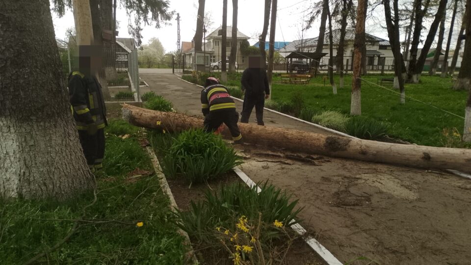 Zeci de intervenții ale pompierilor pentru a îndepărta problemele generate de vântul puternic