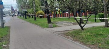 Primăria Suceava a decis restricționarea temporară a accesului în parcurile Universității și Central din cauza vântului puternic