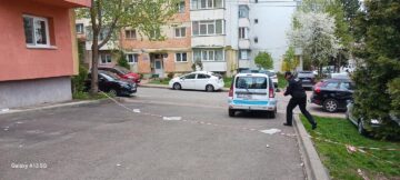 Primăria Suceava a decis restricționarea temporară a accesului în parcurile Universității și Central din cauza vântului puternic