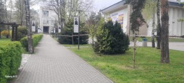 Primăria Suceava a decis restricționarea temporară a accesului în parcurile Universității și Central din cauza vântului puternic