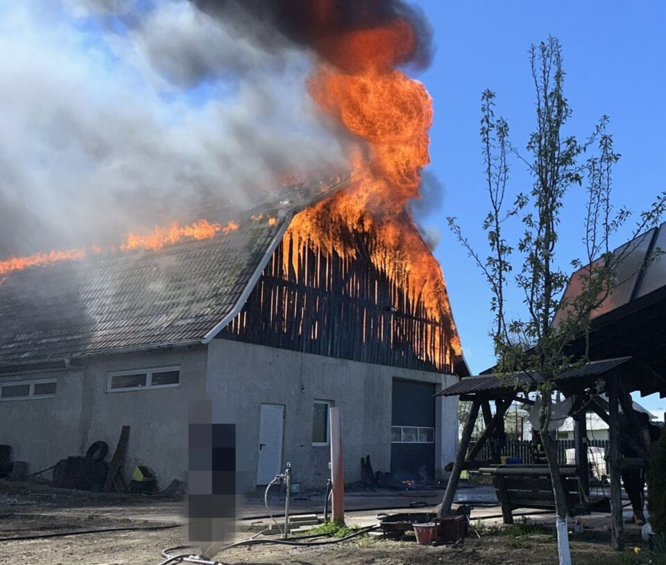 Incendiu puternic la o hală din Mitocu Dragomirnei. O femeie a suferit arsuri serioase