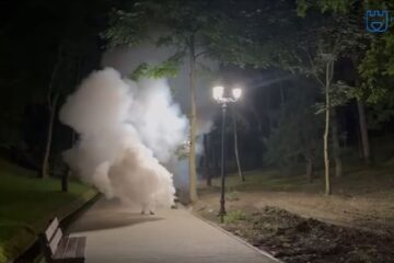 Măsuri contra căpușelor în parcurile din municipiul Suceava