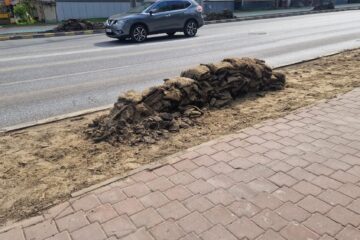 Rolurile de gazon de pe artera principală a Sucevei, înlocuite, după ce au fost „arse”