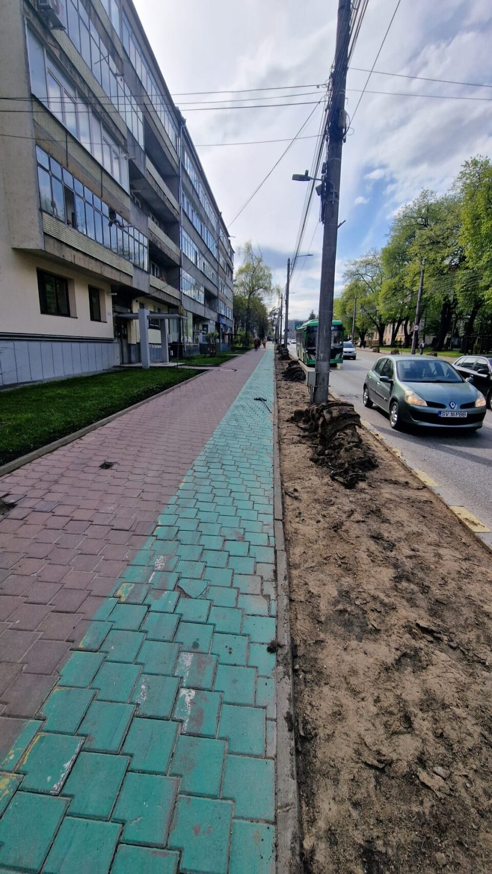 Rolurile de gazon de pe artera principală a Sucevei, înlocuite, după ce au fost „arse”