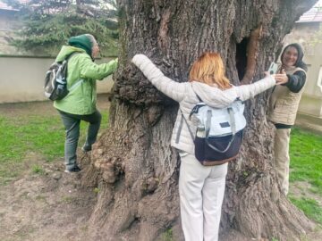 Colegiul „Vasile Lovinescu” a dat startul parteneriatului cu Istituto d’Instruzione Superiore „B. Vittone”, din Chieri