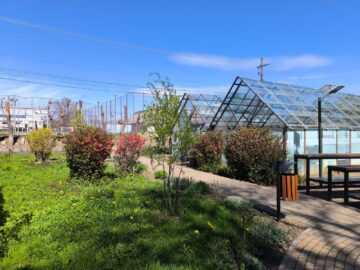 Colegiul „Vasile Lovinescu” a dat startul parteneriatului cu Istituto d’Instruzione Superiore „B. Vittone”, din Chieri