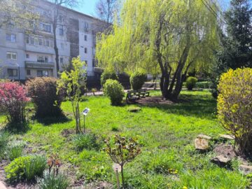 Colegiul „Vasile Lovinescu” a dat startul parteneriatului cu Istituto d’Instruzione Superiore „B. Vittone”, din Chieri