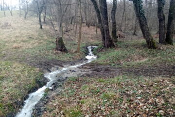 Negestionarea corectă a apelor uzate tehnologice rezultate în urma proceselor de producție a lactatelor a dus la afectarea gravă a calității apei