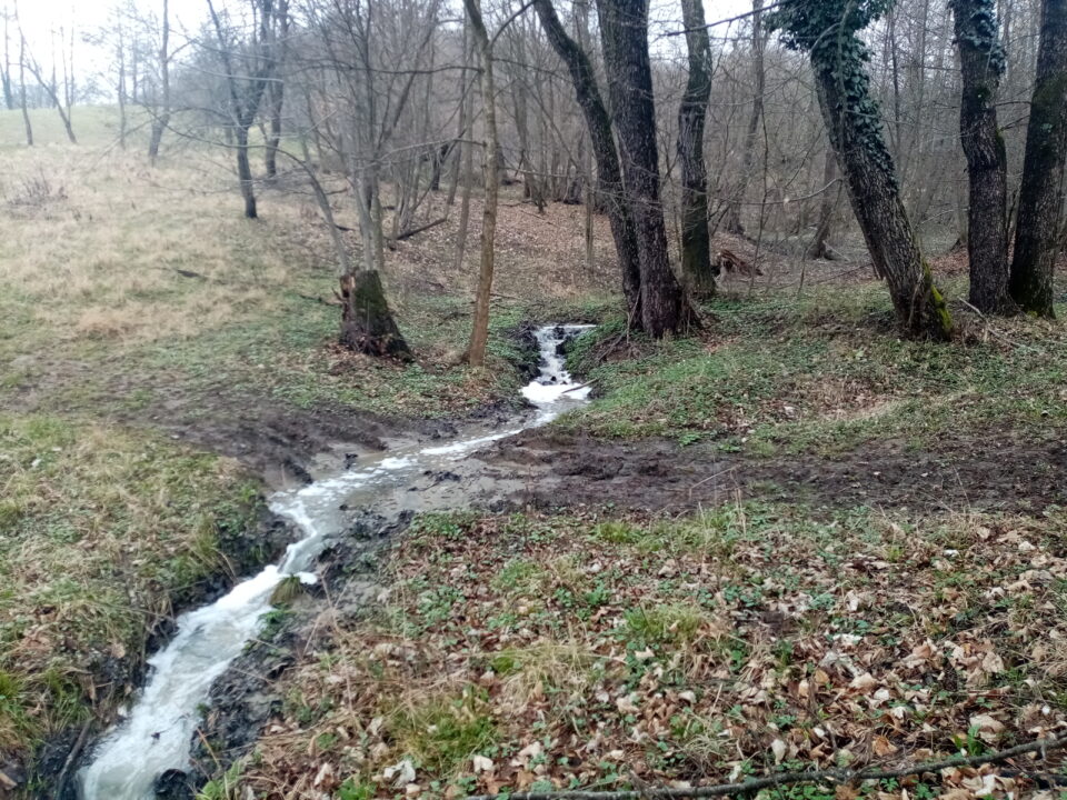 Negestionarea corectă a apelor uzate tehnologice rezultate în urma proceselor de producție a lactatelor a dus la afectarea gravă a calității apei