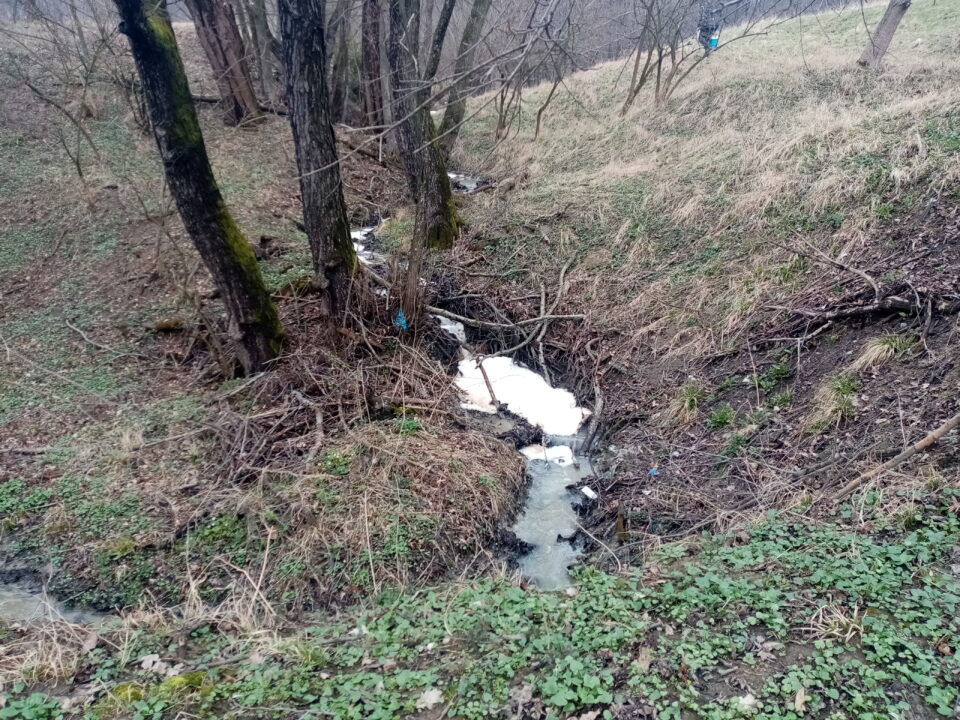 Negestionarea corectă a apelor uzate tehnologice rezultate în urma proceselor de producție a lactatelor a dus la afectarea gravă a calității apei