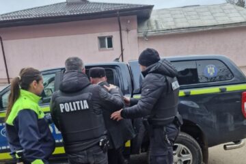 Sucevean trimis doi ani la pușcărie după ce și-a ucis câinele cu o țapină