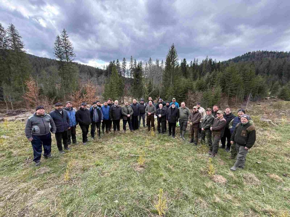 Preoții din Protopopiatul Fălticeni au plantat peste 1.000 de puieți de molid în bazinul forestier Ostra
